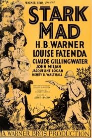 Stark Mad (1929)