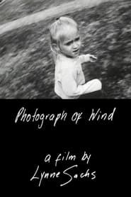 Photograph of Wind (2001)