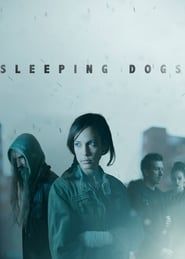 Sleeping Dogs 2013 streaming