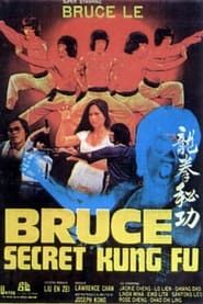 Bruce's Secret Kung Fu series tv