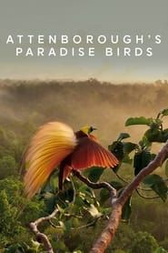 Attenborough's Paradise Birds series tv