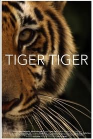 Tiger Tiger (2015)