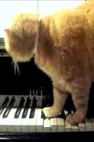 Arnold Schoenberg, op. 11 - I - Cute Kittens series tv