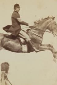 Image Horse and Rider Jumping Over an Obstacle