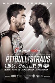 Image Bellator 132: Pitbull vs. Straus 2 2015
