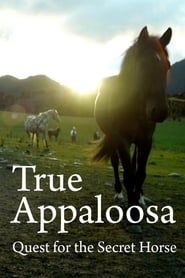 True Appaloosa series tv