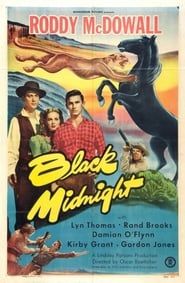 Black Midnight series tv