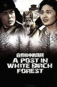 A Post in White Birch Forest (1982)