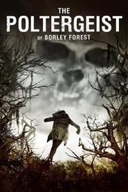 The Poltergeist of Borley Forest series tv