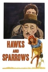 The Hawks and the Sparrows series tv