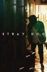 Image Stray Dog