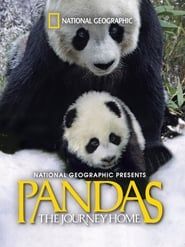 Pandas: The Journey Home (2014)