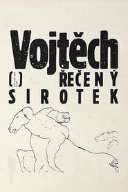 Vojtech, Called the Orphan (1990)
