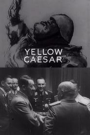 Affiche de Yellow Caesar