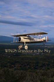 Image Wings: Grandeur in the Sky 2012