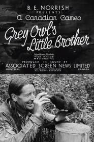Image Grey Owl's Little Brother