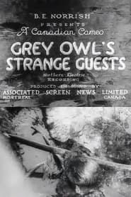 Grey Owl's Strange Guests series tv