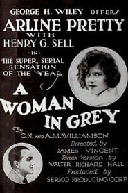 A Woman in Grey-hd