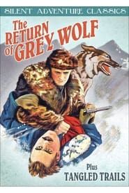 The Return of Grey Wolf series tv