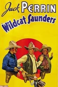 Wildcat Saunders series tv