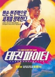 Taekwon Fighter series tv