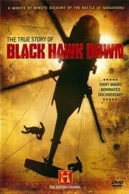 The True Story of Black Hawk Down series tv