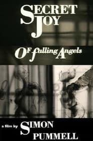Secret Joy of Falling Angels series tv