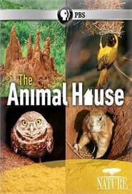 The Animal House series tv
