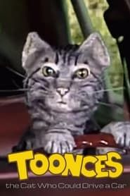 Image Toonces, the Cat Who Could Drive a Car