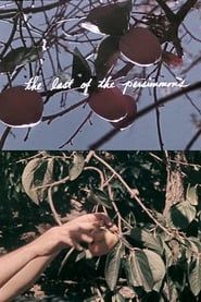 The Last of the Persimmons (1972)