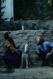 Image Sleeping Dogs (Never Lie) 1978
