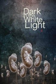 Dark in the White Light series tv