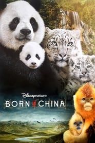 Born in China series tv