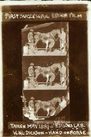 Image Horse Shoeing 1893