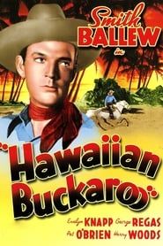 Hawaiian Buckaroo series tv