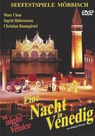 Eine Nacht in Venedig (1999)