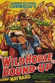 Image Wild Horse Round-Up 1936