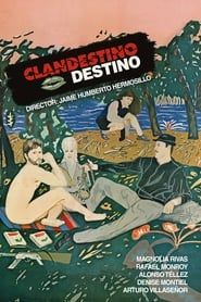 watch Clandestino destino