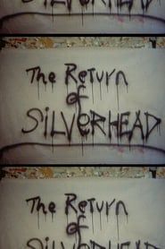 Return of Silver Head series tv