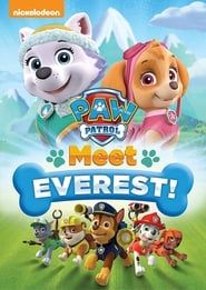 Paw Patrol: Meet Everest series tv