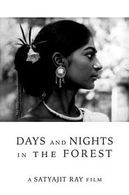Des jours et des nuits dans la forêt 1970 streaming