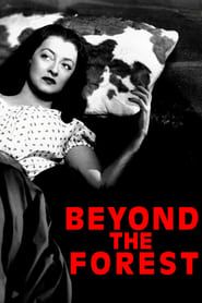 Beyond the Forest series tv