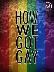 How We Got Gay 2013 streaming