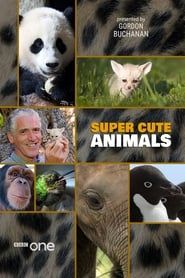 Super Cute Animals series tv