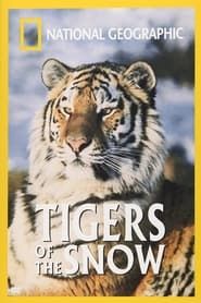 Image National Geographic : Tigres des neiges