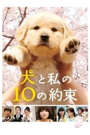 10 Promises to my Dog 2008 streaming