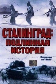 Image Stalingrad 2003