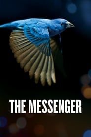 Image The Messenger 2015