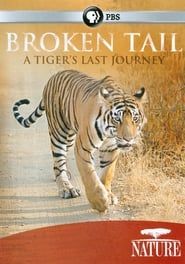 Image Broken Tail: A Tiger's Last Journey