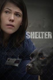 Shelter series tv